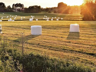 Vakantiehuis Anderslöv  6