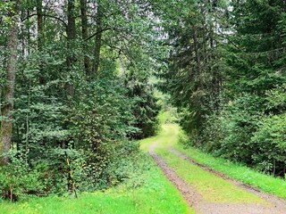 Ferienhaus Älvsered Außenaufnahme 10