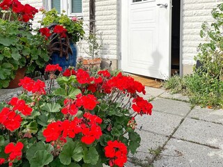 Holiday house Hörvik Outdoor Recording 8