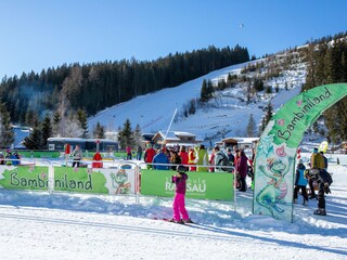 Appartamento per vacanze Pichl Ambiente 15