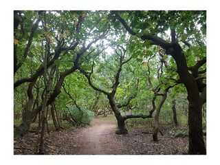 Appartamento Oostkapelle Ambiente 14