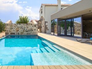 Villa JERINI with a 50m2 heated saltwater pool and wellness Jacuzzi nearby - Nenadići - image1