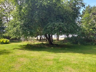 Maison de vacances Dannemare  41