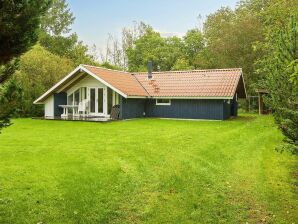 6 Personen Ferienhaus in Fårvang-By Traum - Truust - image1