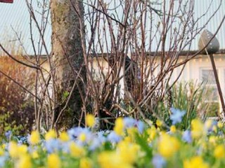 Vakantiehuis Köpingsvik  13