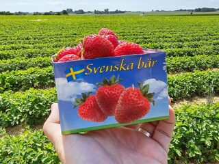 Vakantiehuis Anderslöv  19