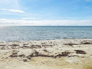 Ferienhaus Falkvik Außenaufnahme 11