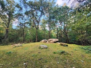 Maison de vacances Hornbæk  7