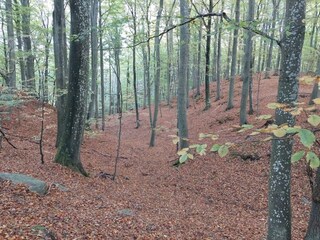 Ferienhaus Hornbæk  8