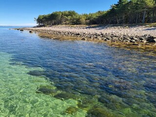 Maison de vacances Hornbæk  39
