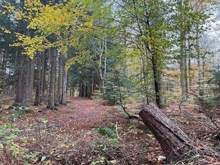 Vakantiehuis Hornbæk  37