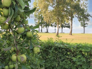 Vakantiehuis Bogø  15