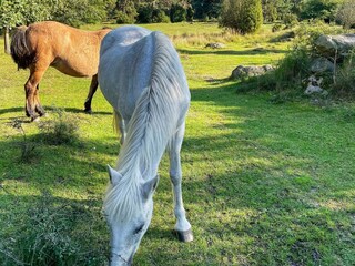 Vakantiehuis Hörvik Buitenaudio-opname 1