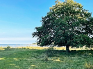 Ferienhaus Hörvik Außenaufnahme 9