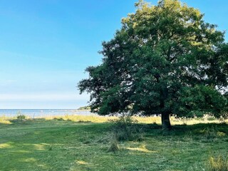 Vakantiehuis Hörvik Buitenaudio-opname 9