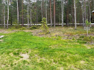 Vakantiehuis Ingarö Buitenaudio-opname 1