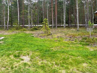 Vakantiehuis Ingarö Buitenaudio-opname 2