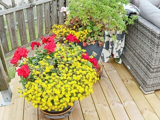 Ferienhaus Falkenberg (Schweden) Außenaufnahme 5