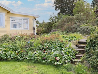 Ferienhaus Bua Außenaufnahme 5