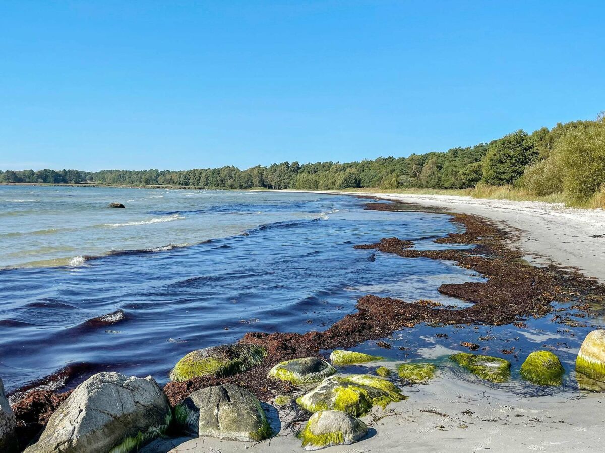 Ferienhaus Hällevik Außenaufnahme 7