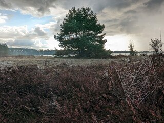 Vakantiehuis Hällevik  24