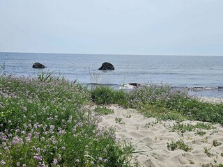 Vakantiehuis Hällevik  21