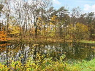 Vakantiehuis Skarrild  17