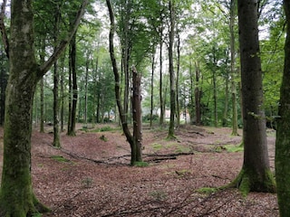 Ferienhaus Skarrild  14