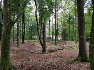 Vakantiehuis Skarrild  4