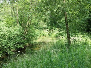 Vakantiehuis Skarrild  14