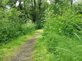 Casa per le vacanze Skarrild  30