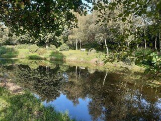 Vakantiehuis Skarrild  3