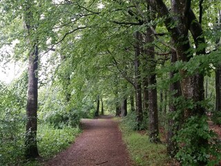 Ferienhaus Skarrild  30