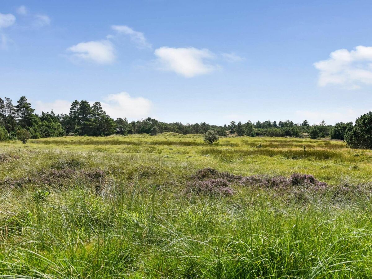 Ferienhaus Blåvand Außenaufnahme 15