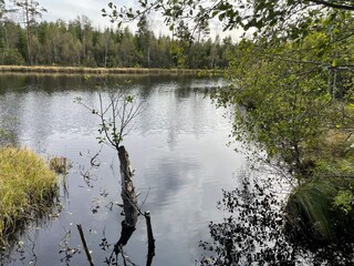 Ferienhaus Backaryd Außenaufnahme 8