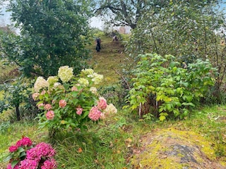 Ferienhaus Vaggeryd Außenaufnahme 5