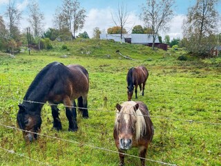 Holiday house Vaggeryd Outdoor Recording 5