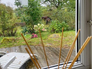 Holiday house Vaggeryd  15