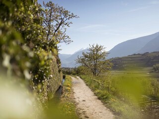 Casa per le vacanze Tisens Ambiente 12