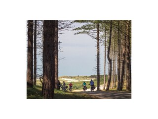 Casa per le vacanze Bergen (Holland) Ambiente 18