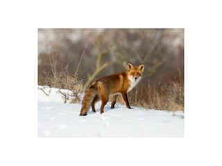 Casa per le vacanze Bergen (Holland) Ambiente 23