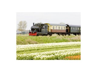 Casa per le vacanze Bergen (Holland) Ambiente 24