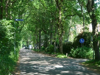 Ferienhaus Bergen (Holland) Außenaufnahme 5