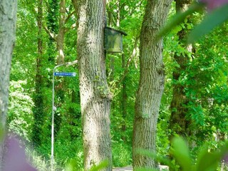 Casa per le vacanze Bergen (Holland) Registrazione all'aperto 6