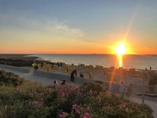 Vakantieappartement Cuxhaven Zentrum & Grimmershörn Kenmerken 12