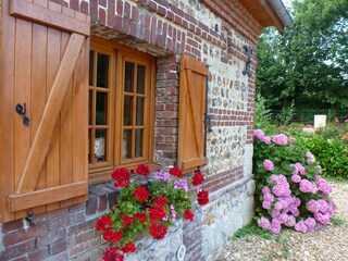 window of the kitchen