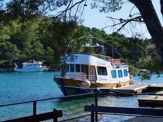 Appartamento per vacanze Zadar Ambiente 39