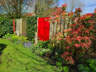 Garten im Frühling