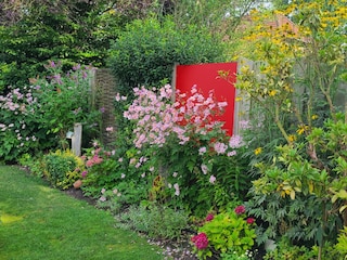 Garten im Sommer