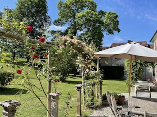 Cottage Casalborgone Outdoor Recording 4